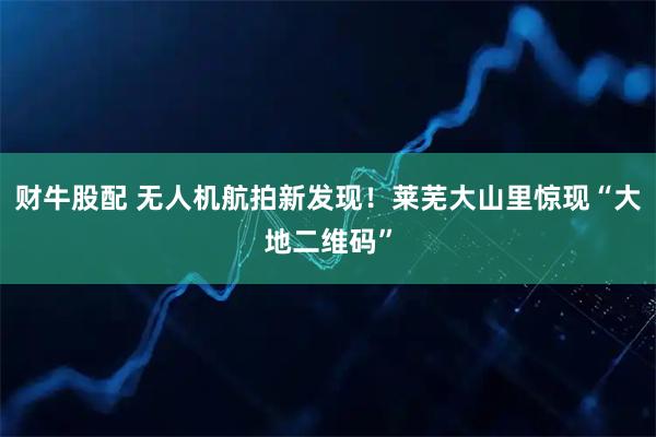 财牛股配 无人机航拍新发现！莱芜大山里惊现“大地二维码”