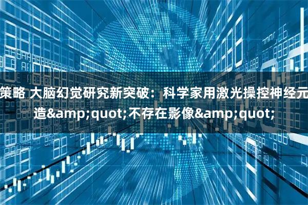 趣策略 大脑幻觉研究新突破：科学家用激光操控神经元制造"不存在影像"