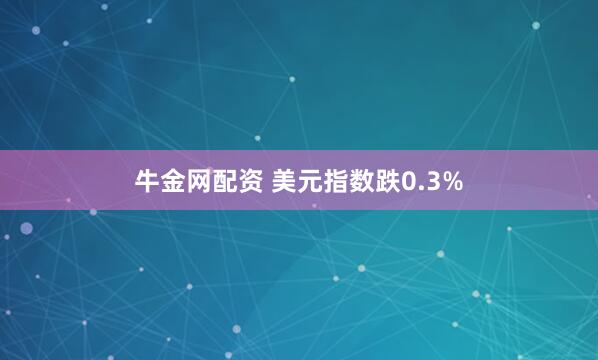 牛金网配资 美元指数跌0.3%